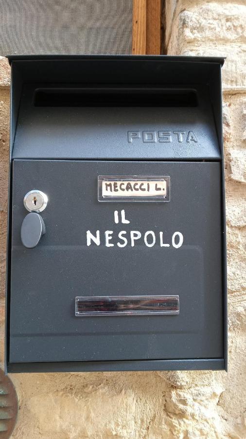 Appartamento Il Nespolo San Gimignano Eksteriør bilde